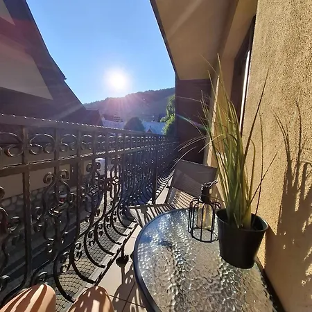 Goscinne Malgorzata I Piotr Bobek 3* Закопане